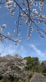 B6E6B947-CCAD-480C-91A5-17E0CECA54CA.jpg